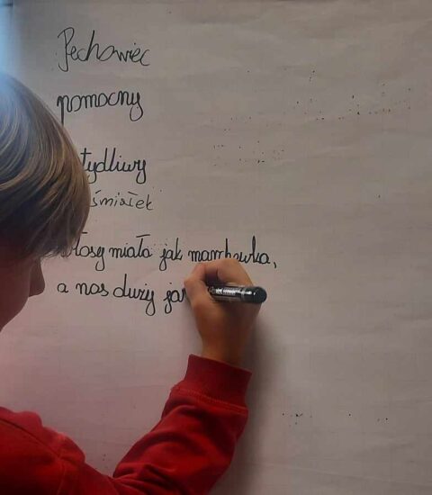 chłopiec w czerwonej bluzie trzyma w rękach marker, pisze na tablicy