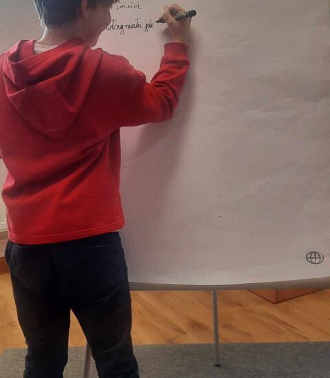 chłopiec w czerwonej bluzie trzyma w rękach marker, pisze na tablicy